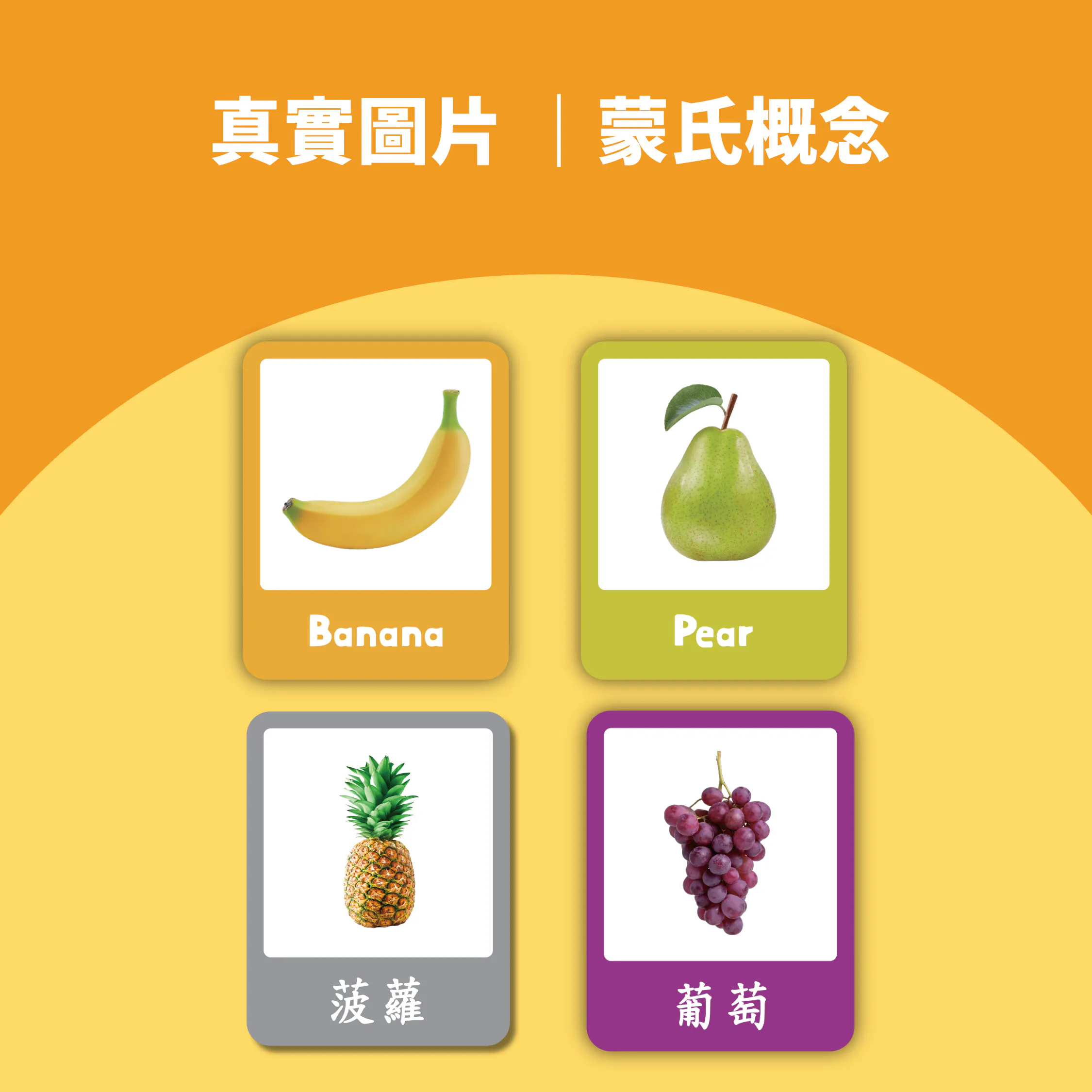 Matching Flashcard-Fruit 4